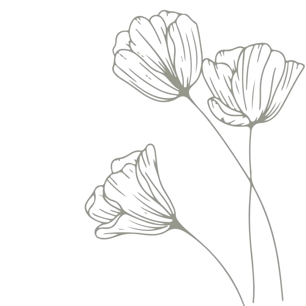 Gelin Makyajı Stüdyosu İstanbul