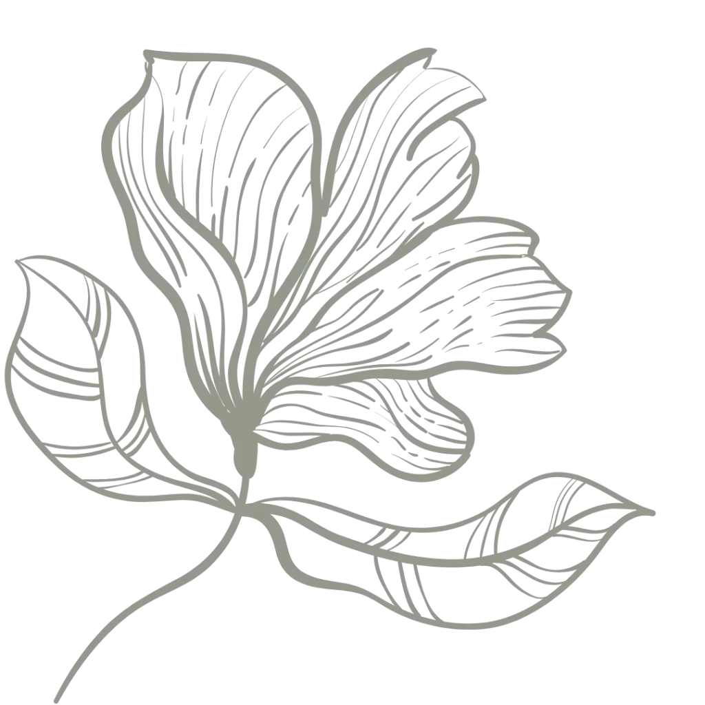 Kaş Tasarım Stüdyosu İstanbul